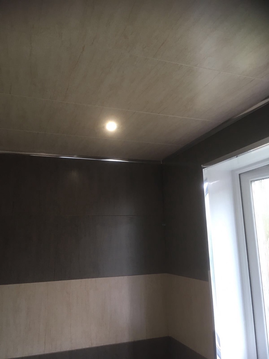 Company: Image 65